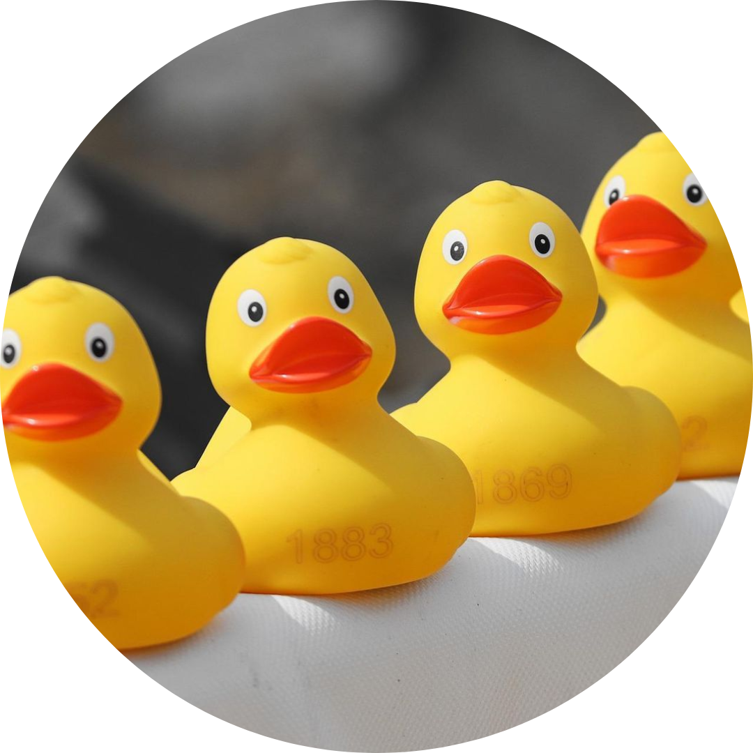 Bookkeeping Quality Bookkeeping Quality